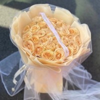 ˰ʻٵ